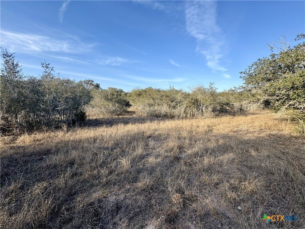 10.88 acres in Lavaca County - photo 5