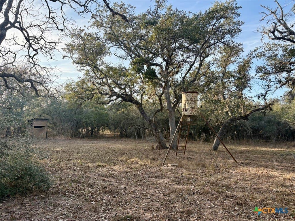 10.88 acres in Lavaca County - photo 2