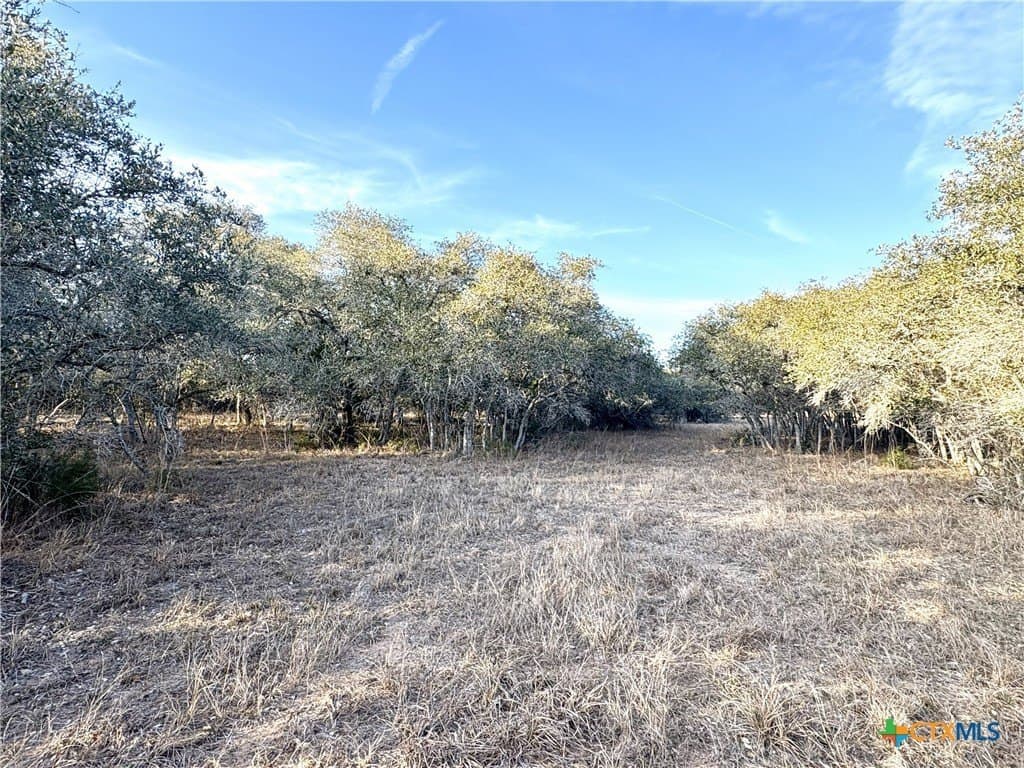 10.88 acres in Lavaca County - photo 4
