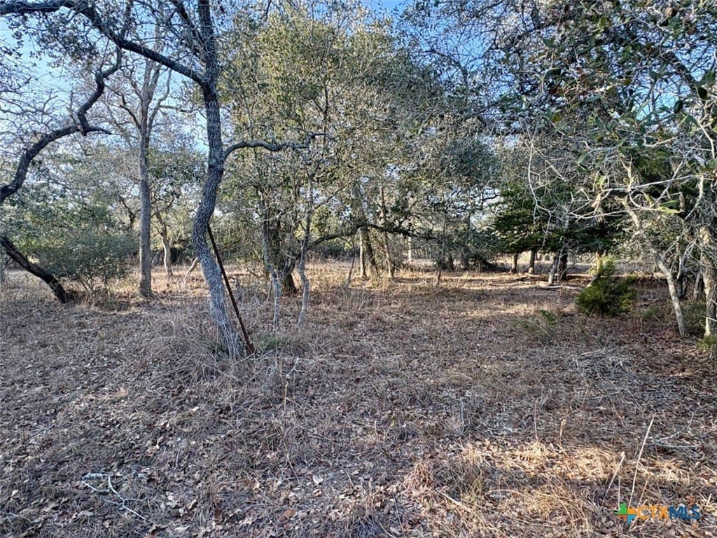 10.88 acres in Lavaca County - photo 3