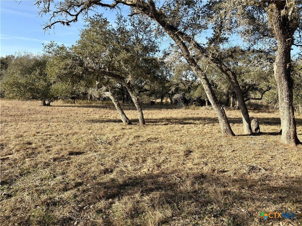 10.88 acres in Lavaca County - photo 14