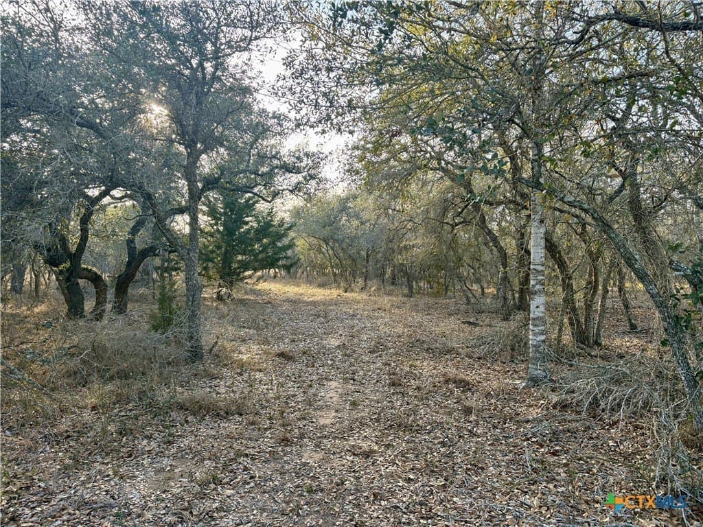 10.88 acres in Lavaca County - photo 12