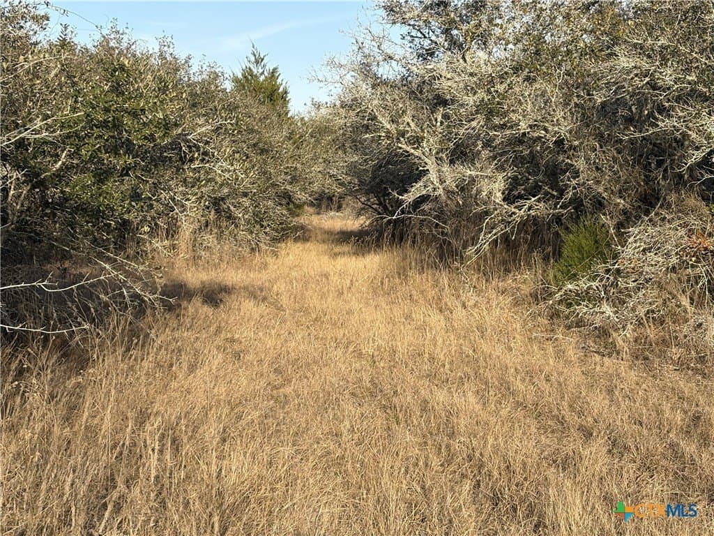 10.88 acres in Lavaca County - photo 6