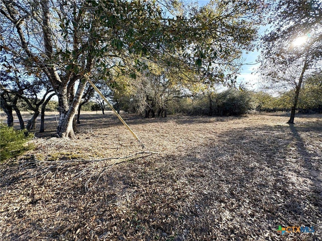 10.88 acres in Lavaca County - photo 17