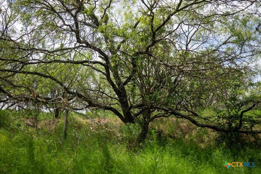 34 acres in McLennan County - photo 31