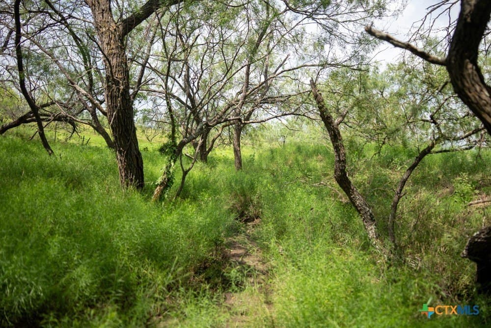 34 acres in McLennan County - photo 27