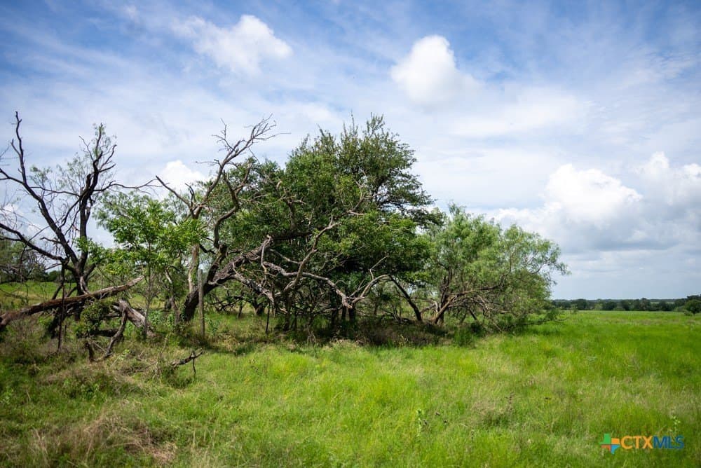 34 acres in McLennan County - photo 24