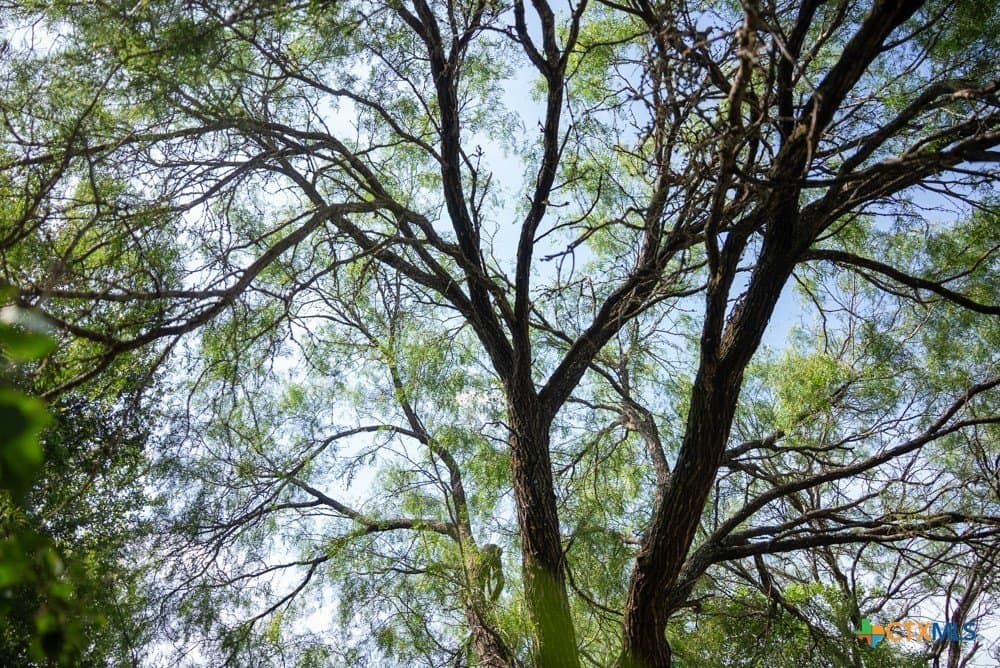 34 acres in McLennan County - photo 14