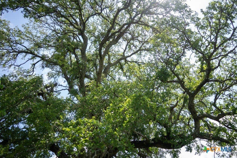 34 acres in McLennan County - photo 18