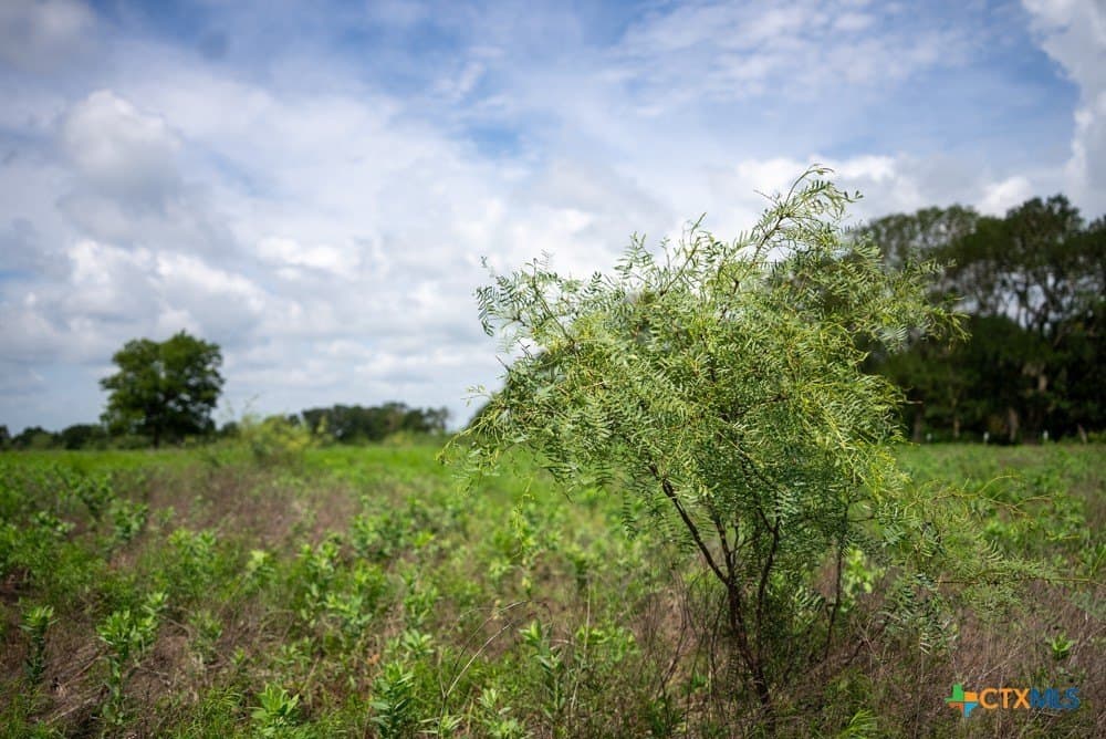 34 acres in McLennan County - photo 20