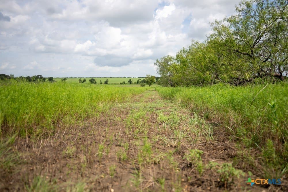 34 acres in McLennan County - photo 33
