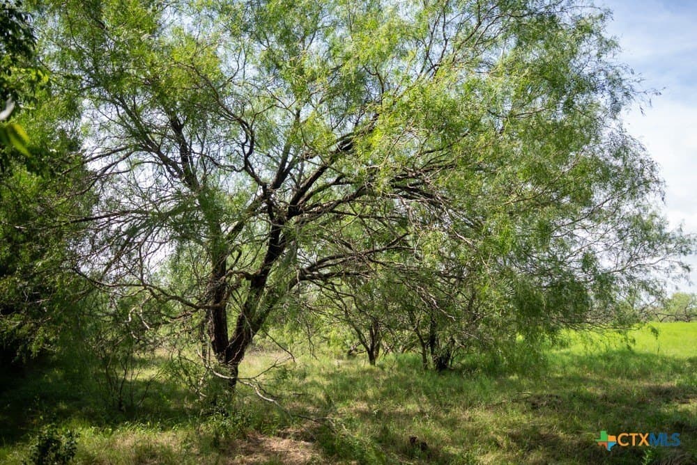 34 acres in McLennan County - photo 13