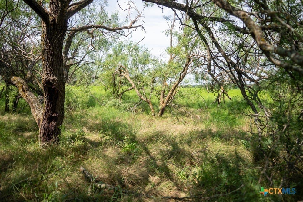 34 acres in McLennan County - photo 15