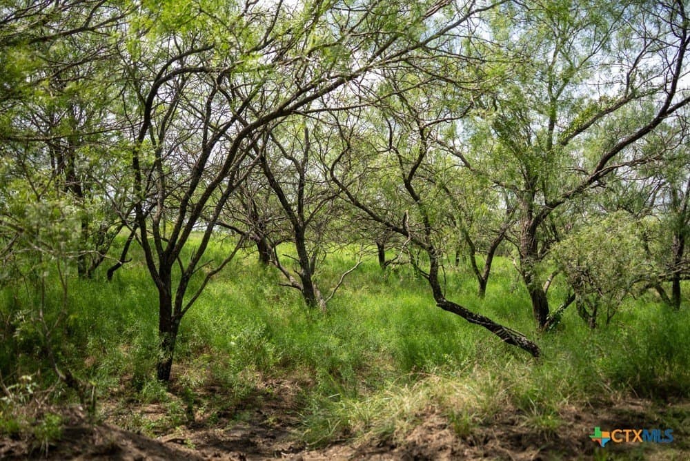 34 acres in McLennan County - photo 30