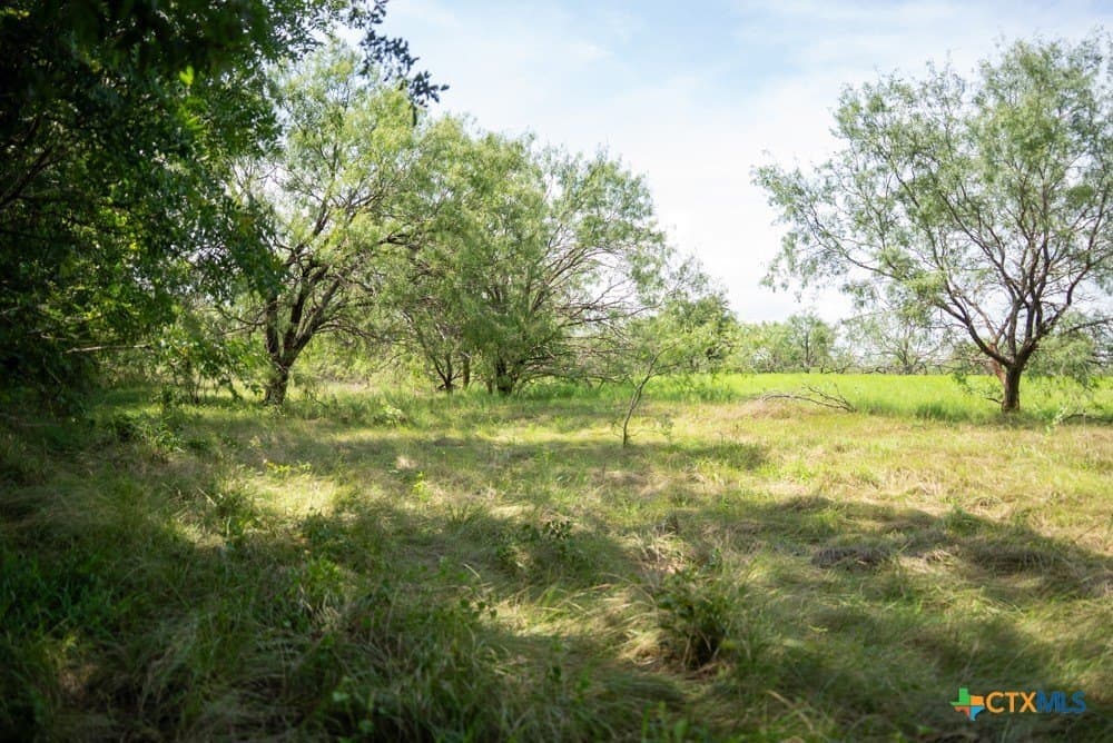34 acres in McLennan County - photo 17