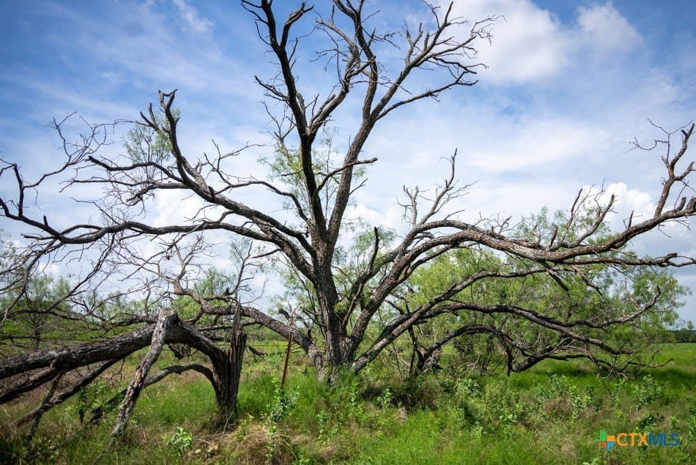 34 acres in McLennan County - photo 22