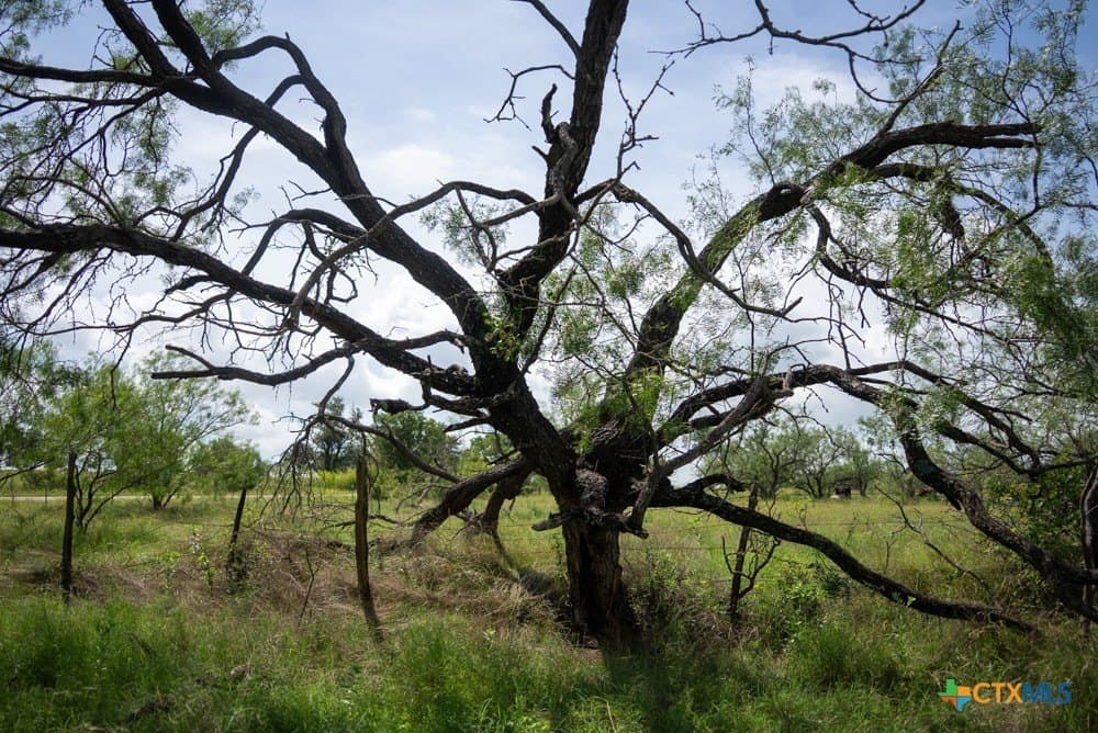 34 acres in McLennan County - photo 16