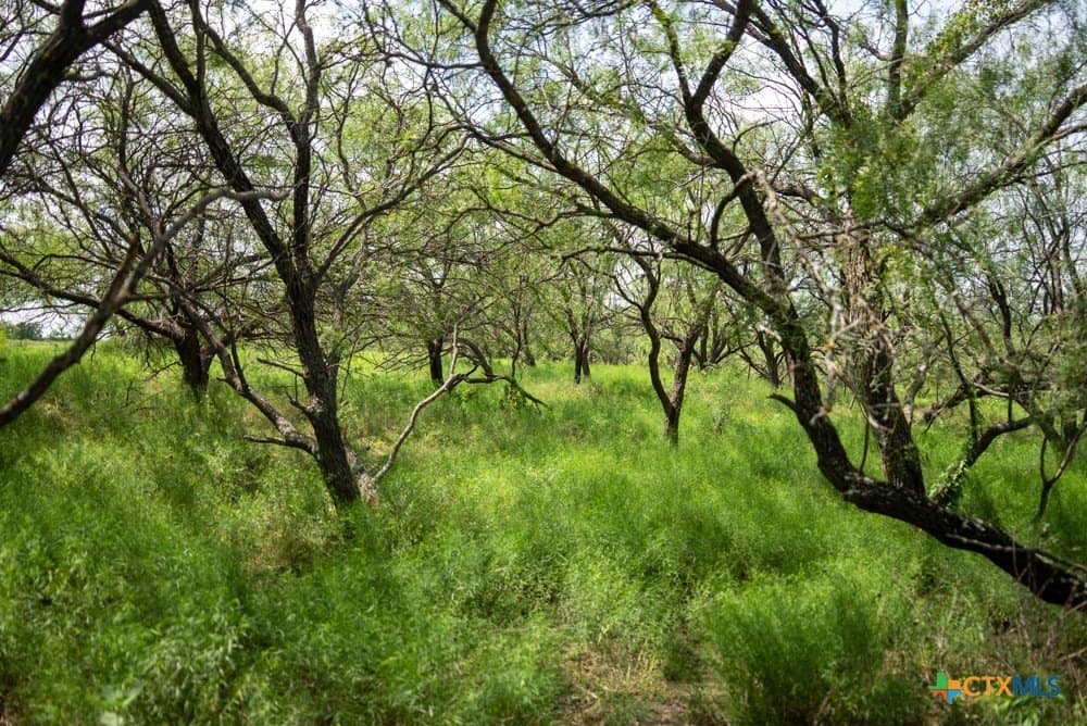 34 acres in McLennan County - photo 29