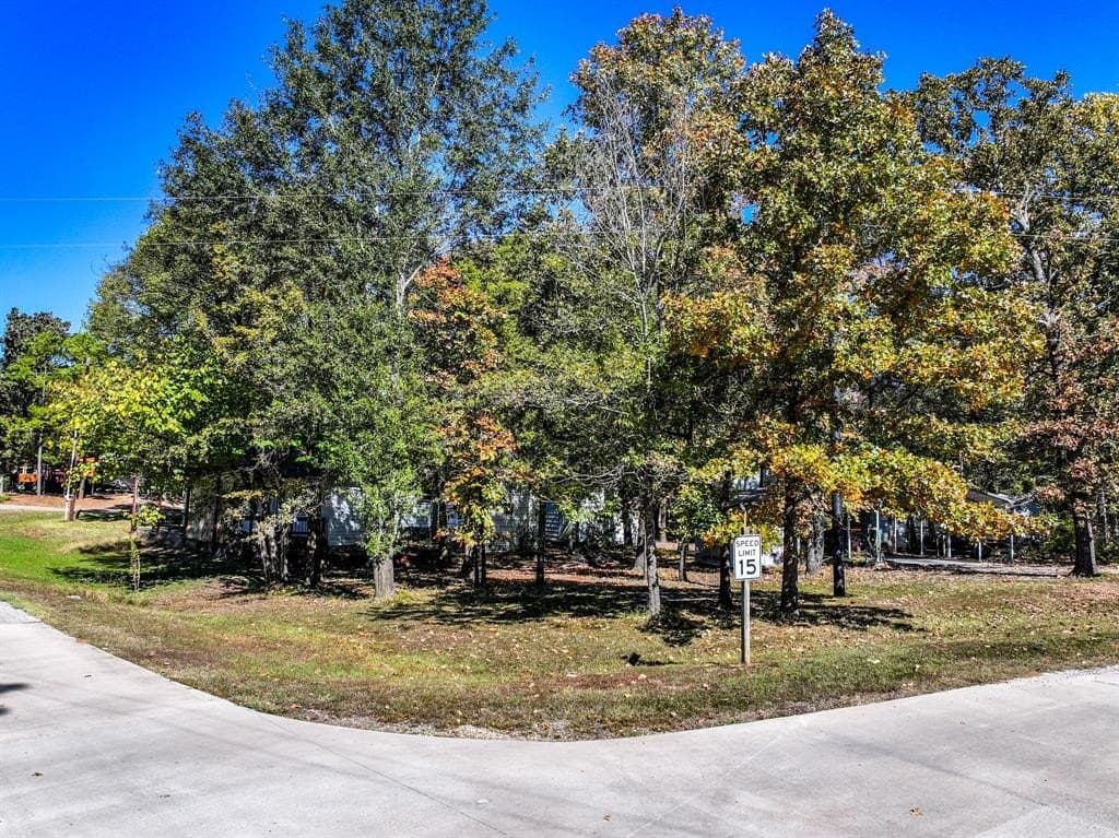0.19 acres in Wood County - photo 2