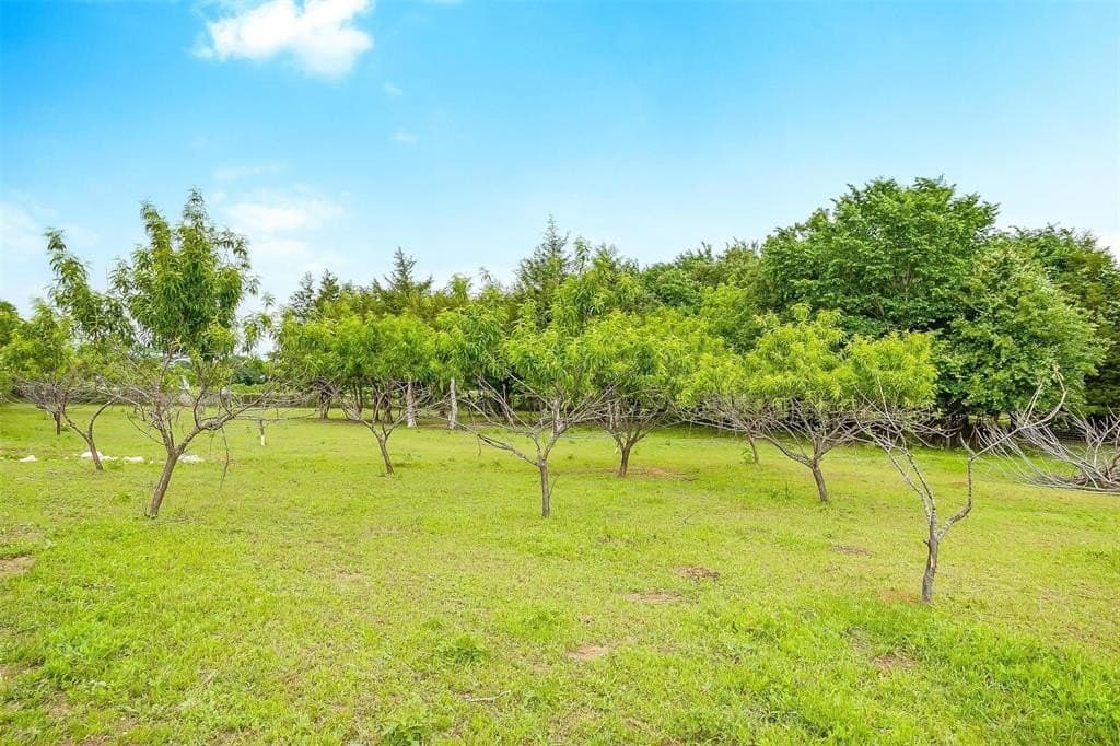 3.21 acres in Johnson County - photo 7