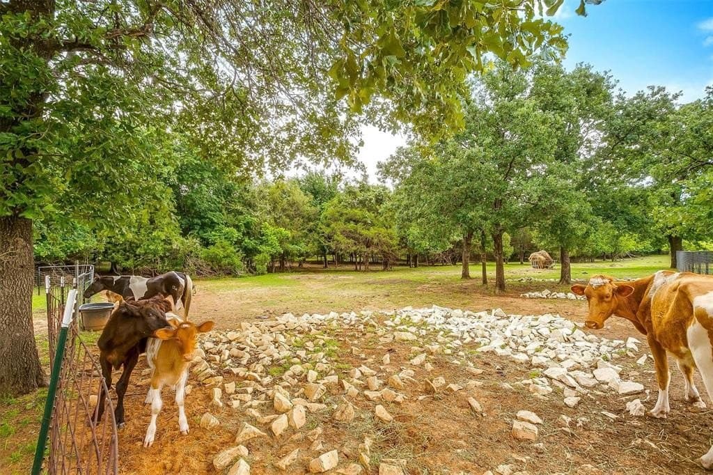 3.21 acres in Johnson County - photo 14