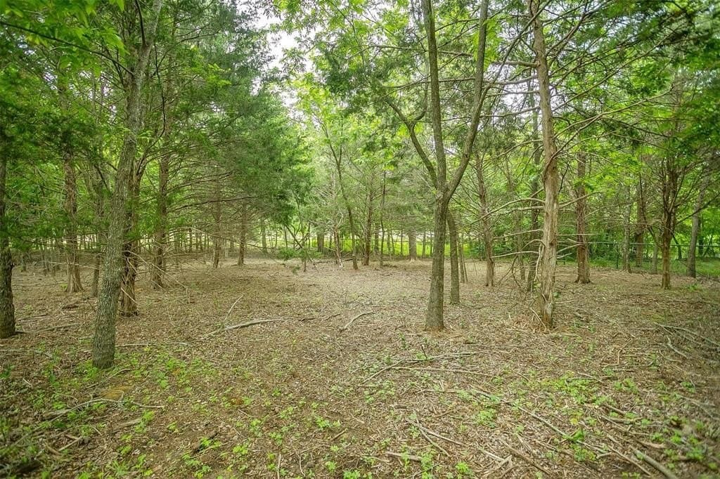 3.21 acres in Johnson County - photo 11