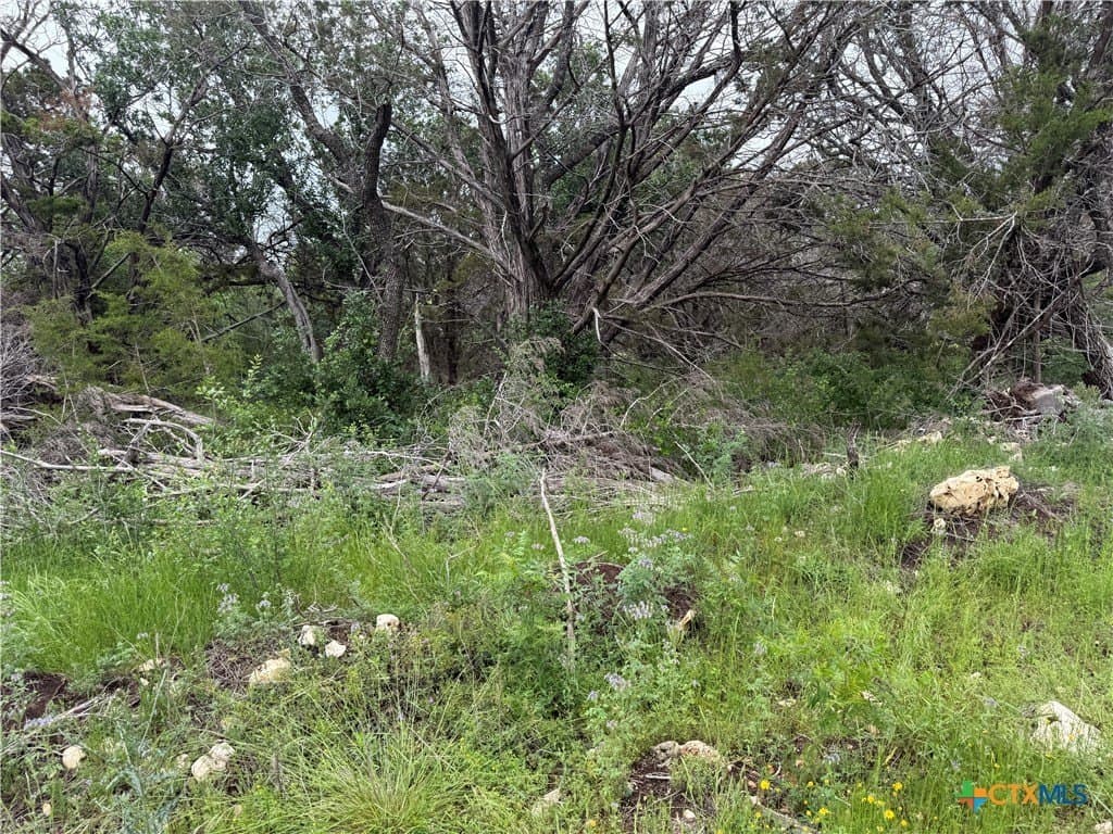 25.5 acres in Coryell County - photo 18