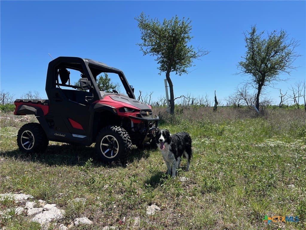 25.5 acres in Coryell County - photo 10