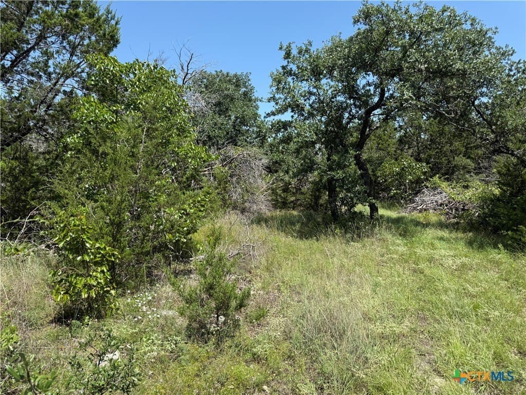 25.5 acres in Coryell County - photo 23
