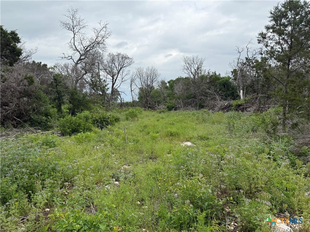 25.5 acres in Coryell County - photo 17