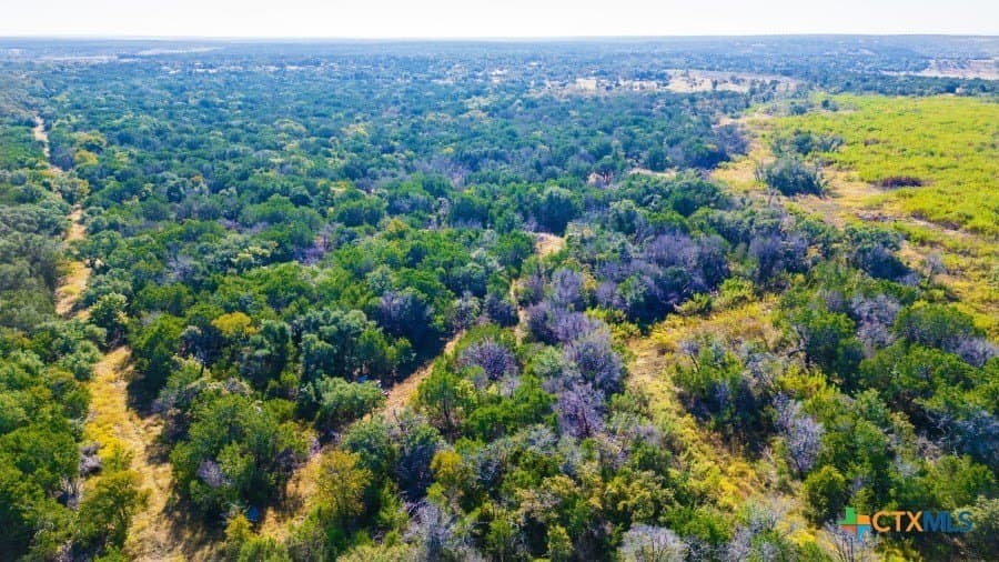 25.5 acres in Coryell County - photo 45