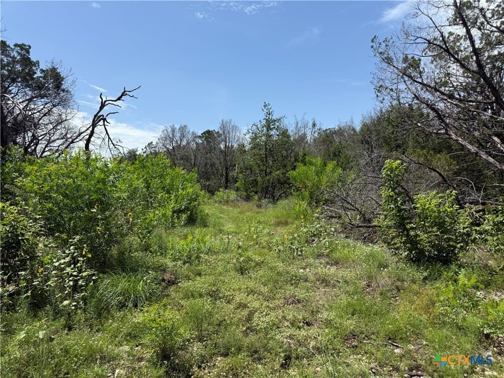 25.5 acres in Coryell County - photo 25