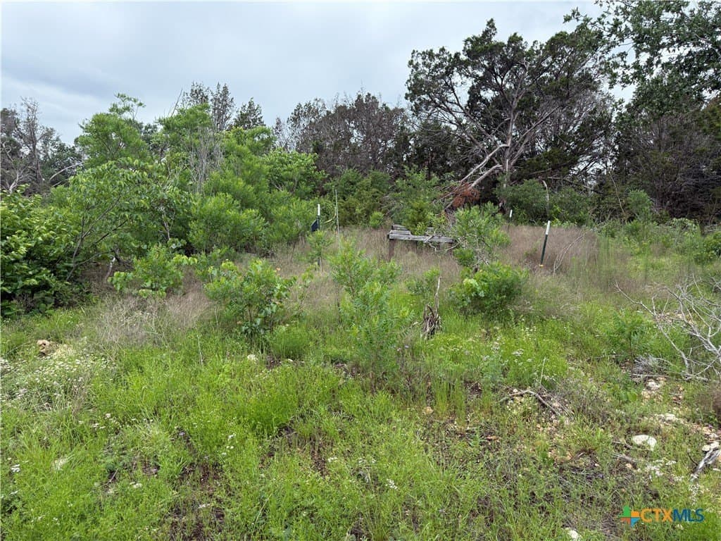 25.5 acres in Coryell County - photo 19