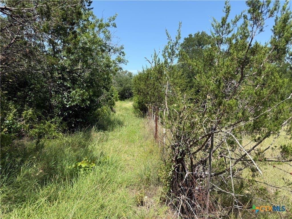 25.5 acres in Coryell County - photo 24