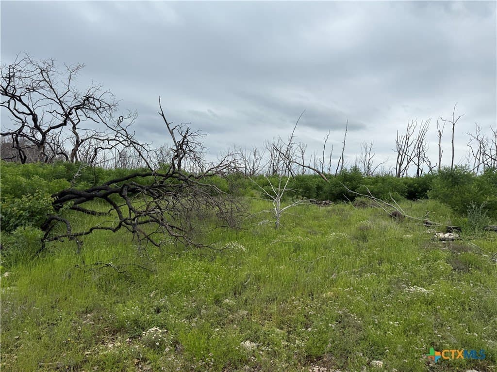 25.5 acres in Coryell County - photo 16