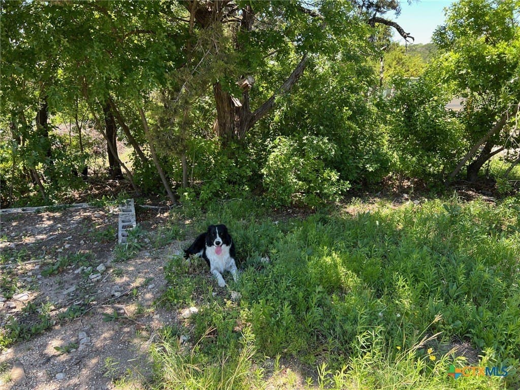 25.5 acres in Coryell County - photo 8