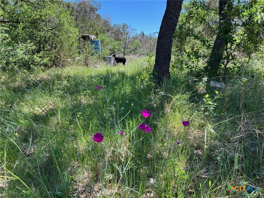 25.5 acres in Coryell County - photo 9