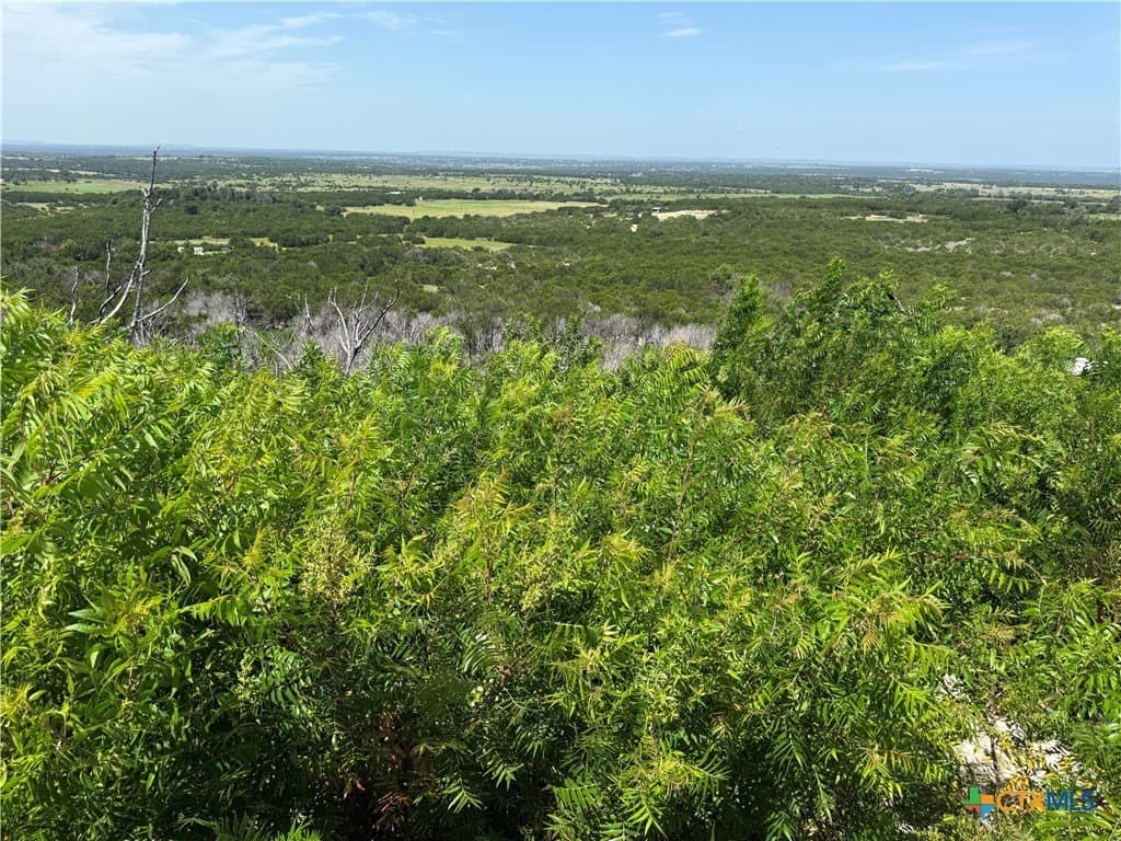 25.5 acres in Coryell County - photo 6