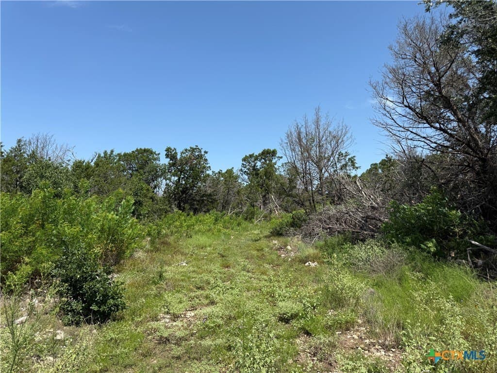 25.5 acres in Coryell County - photo 22