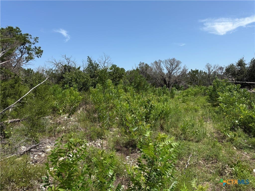 25.5 acres in Coryell County - photo 11