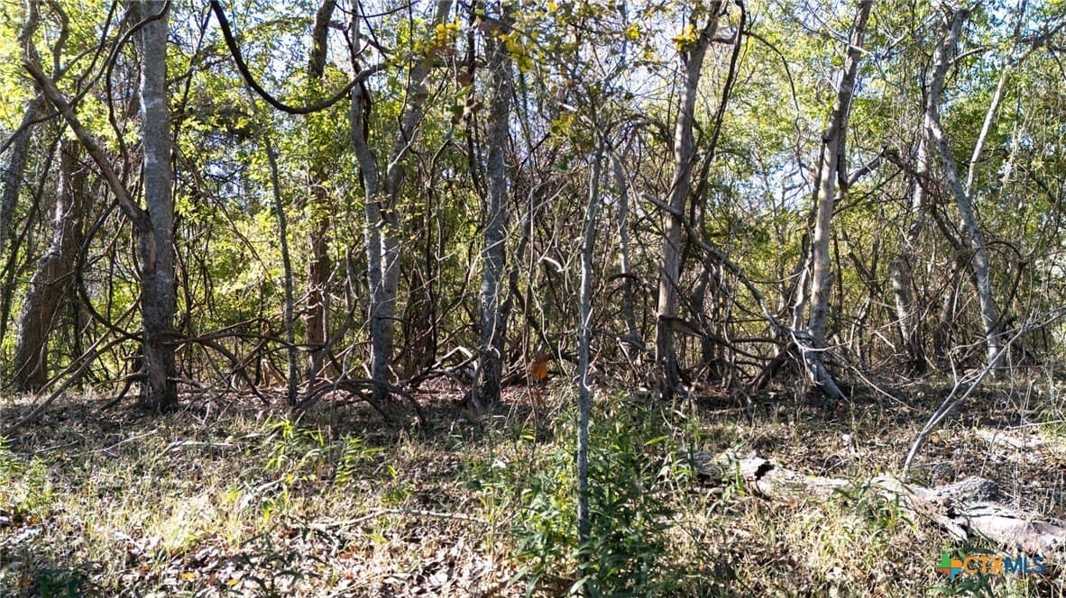 1.39 acres in Guadalupe County - photo 11