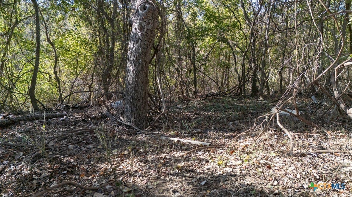 1.39 acres in Guadalupe County - photo 12