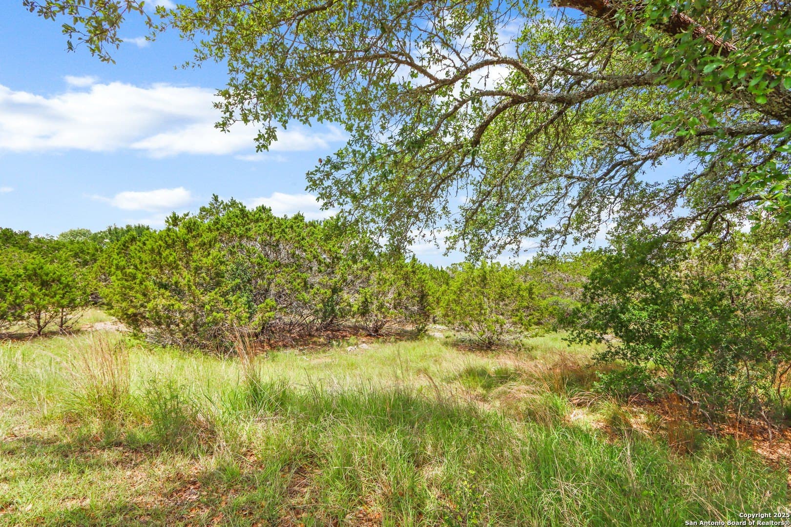 4.01 acres in Kendall County - photo 14