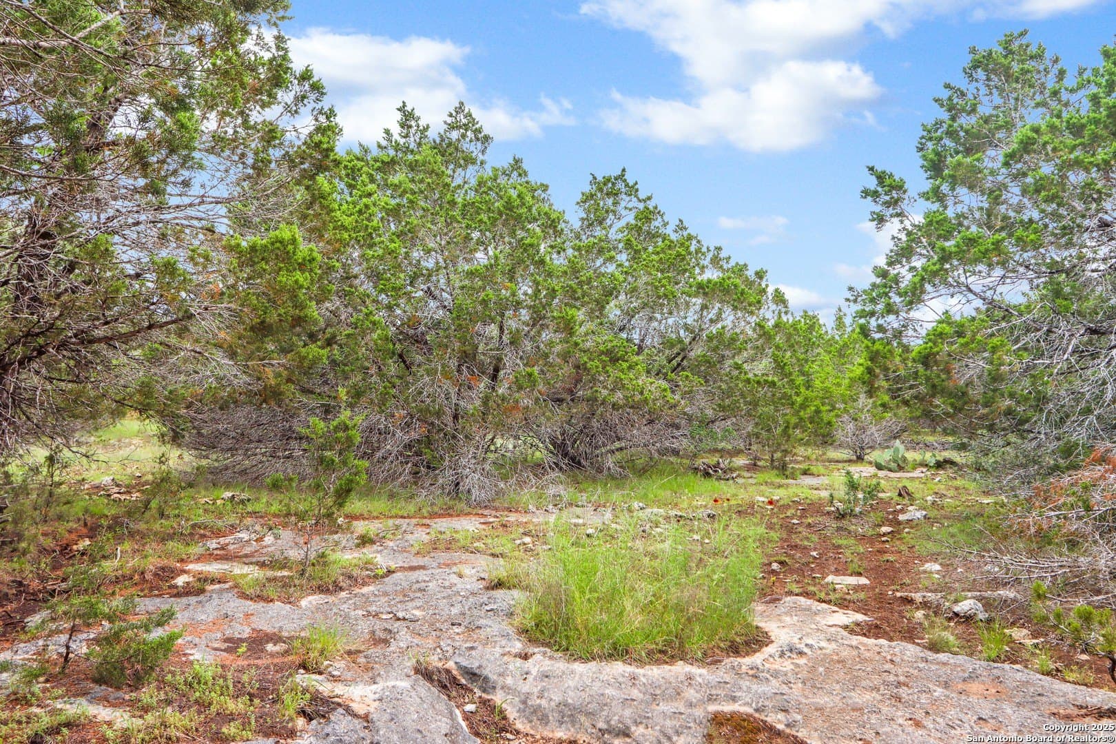4.01 acres in Kendall County - photo 18