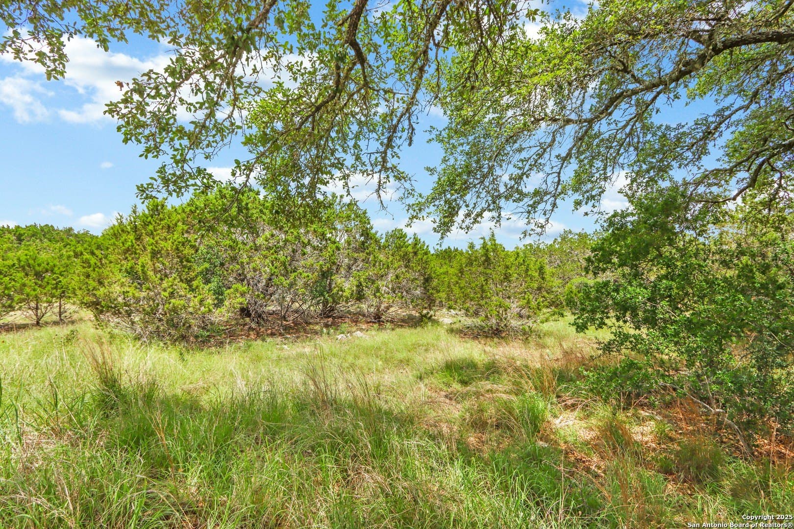 4.01 acres in Kendall County - photo 15