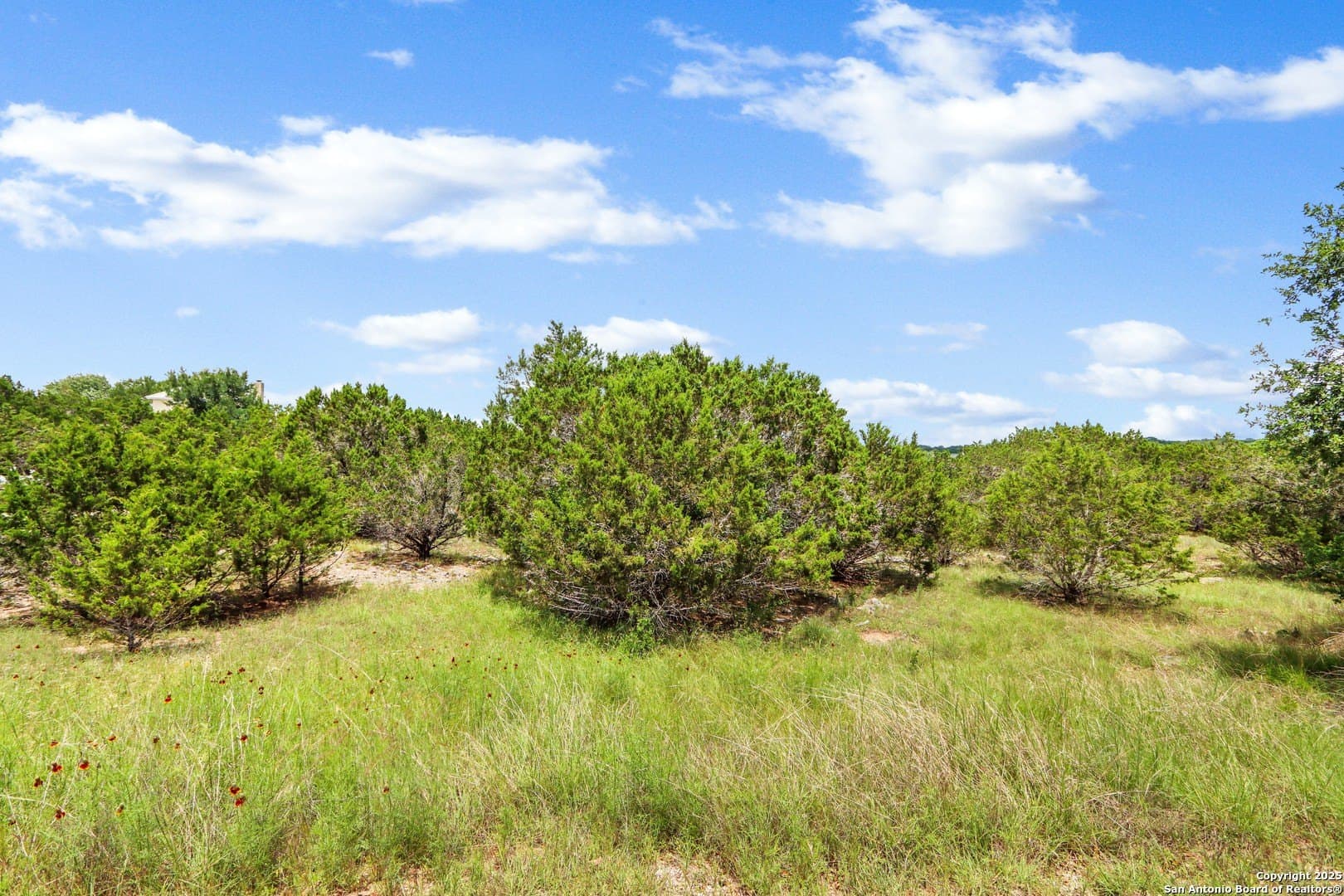 4.01 acres in Kendall County - photo 13