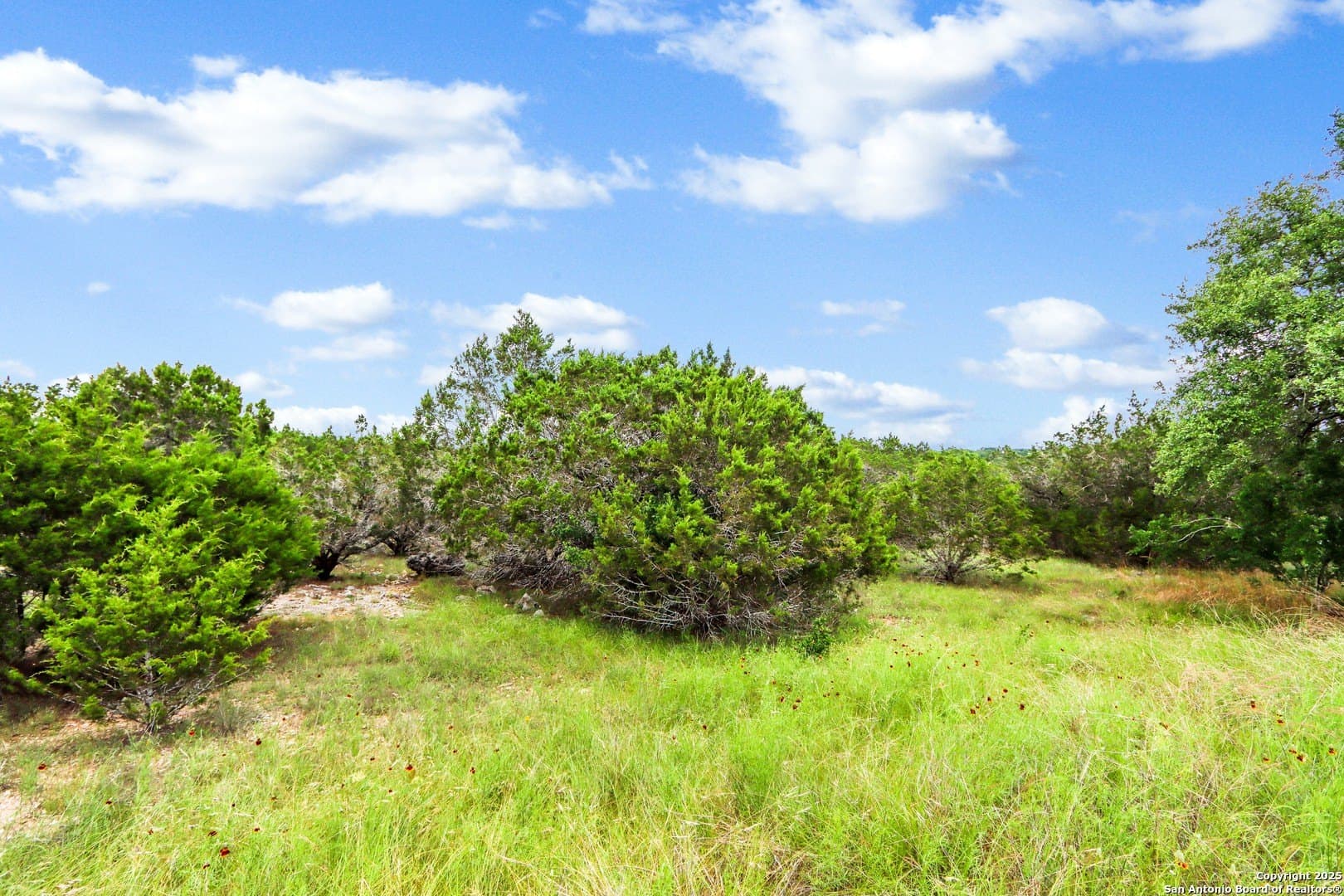 4.01 acres in Kendall County - photo 16
