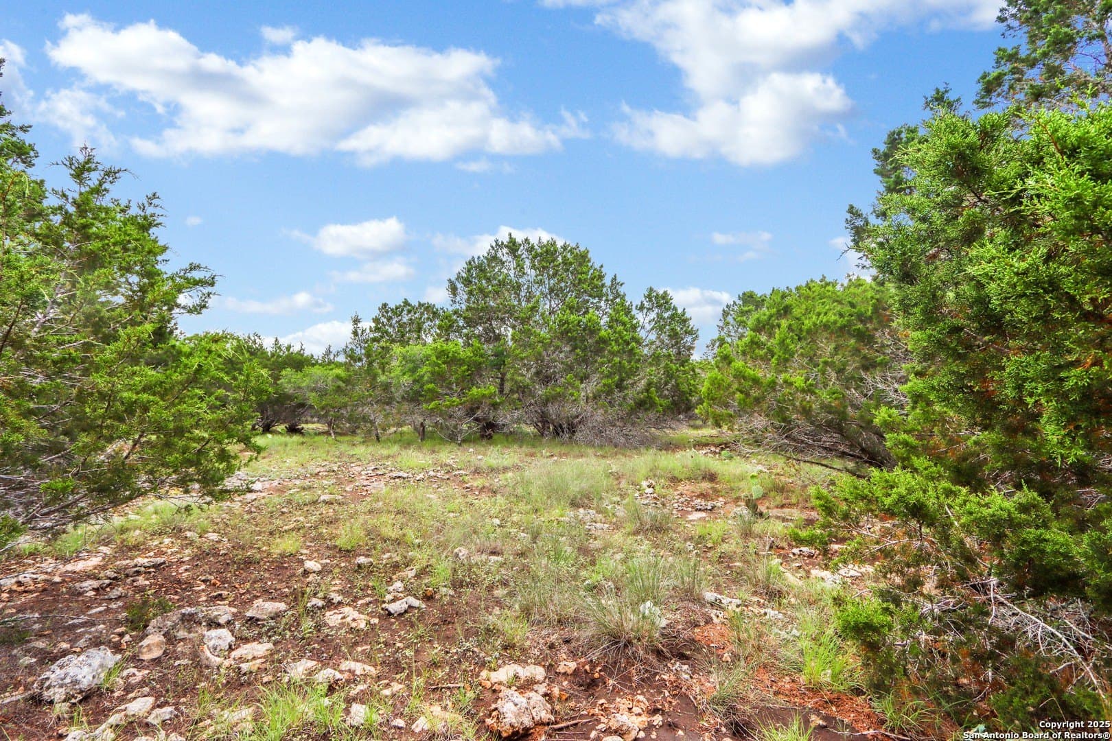 4.01 acres in Kendall County - photo 17