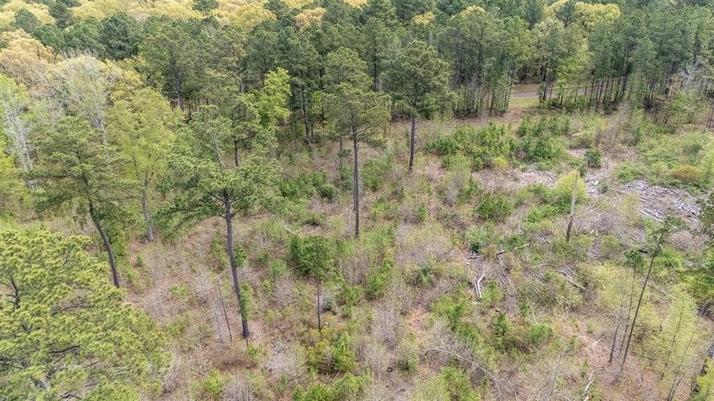 5.12 acres in Smith County - photo 7