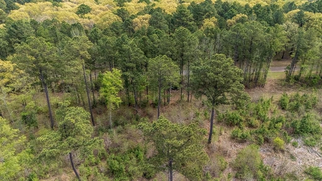 5.12 acres in Smith County - photo 8